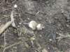 dscn8793_small.jpg