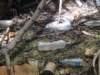 dscn8794_small.jpg