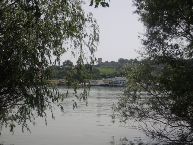 dscn8798.jpg