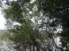 dscn8799_small.jpg