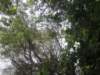 dscn8800_small.jpg