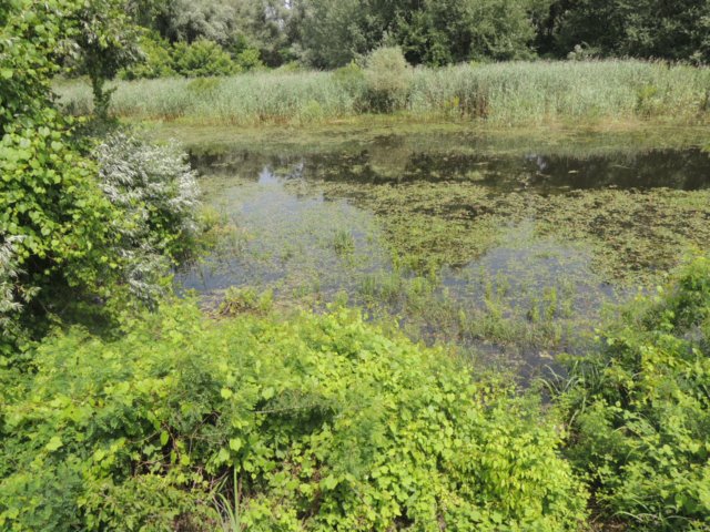 dscn8801.jpg