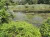 dscn8801_small.jpg