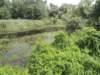 dscn8802_small.jpg