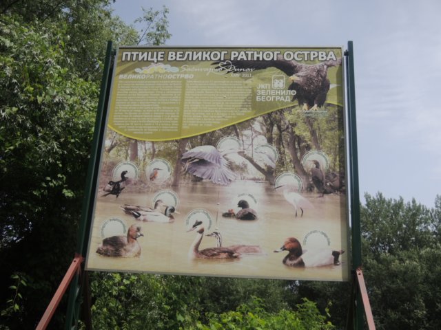 dscn8806.jpg