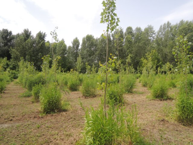 dscn8807.jpg