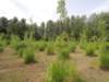 dscn8807_small.jpg