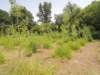 dscn8808_small.jpg