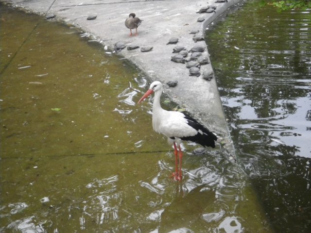 imgp1554.jpg