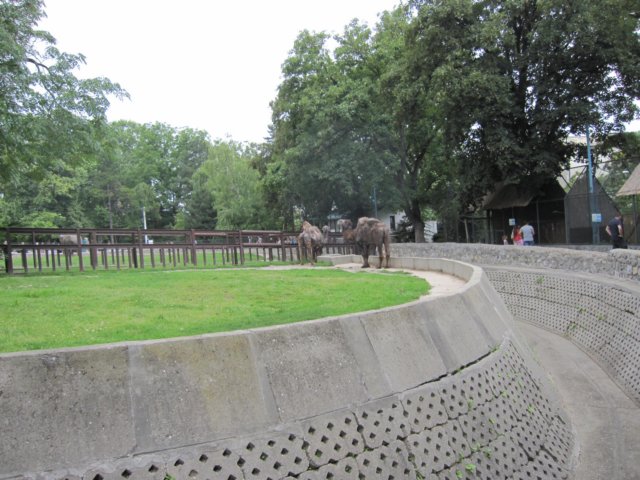 img_1632.jpg