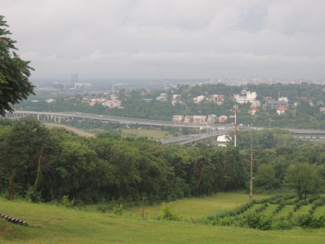 dscn8831.jpg