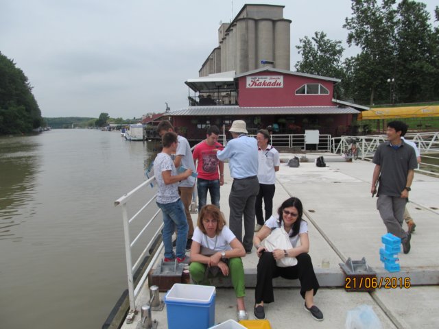 img_1597.jpg