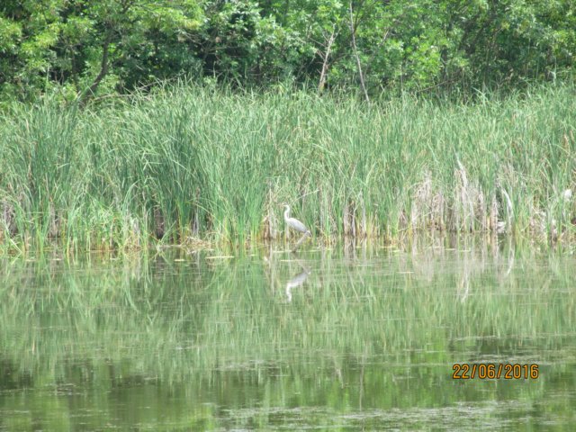 img_1668.jpg