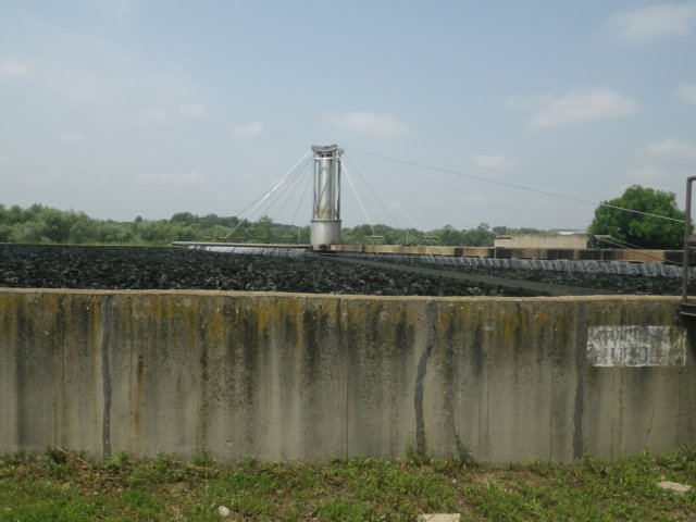 imgp1594.jpg