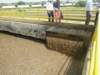 imgp1599_small.jpg