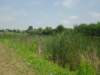 imgp1607_small.jpg