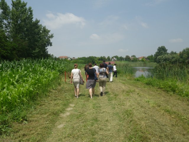 imgp1608.jpg