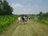imgp1608_small.jpg