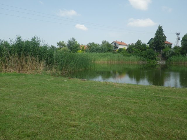 imgp1611.jpg