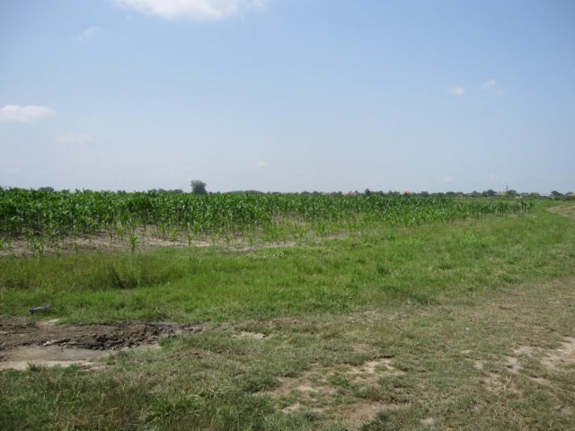 img_1976.jpg
