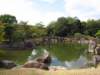 img_6691_small.jpg