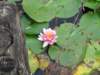 img_6893_small.jpg