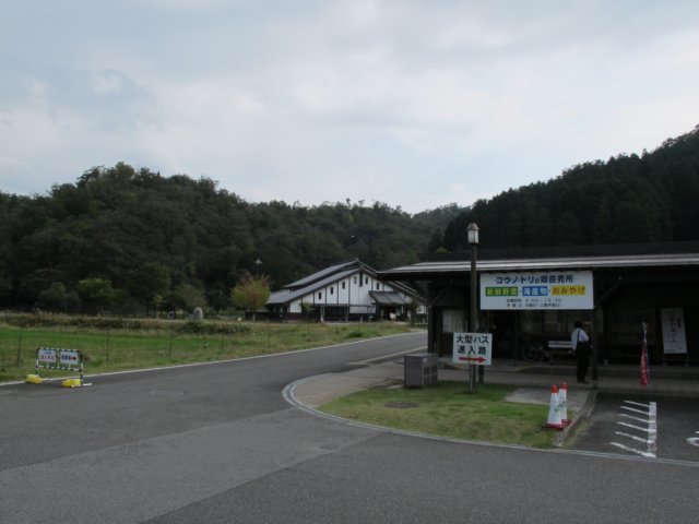 img_6935.jpg