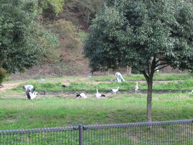 img_6961.jpg