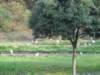 img_6969_small.jpg