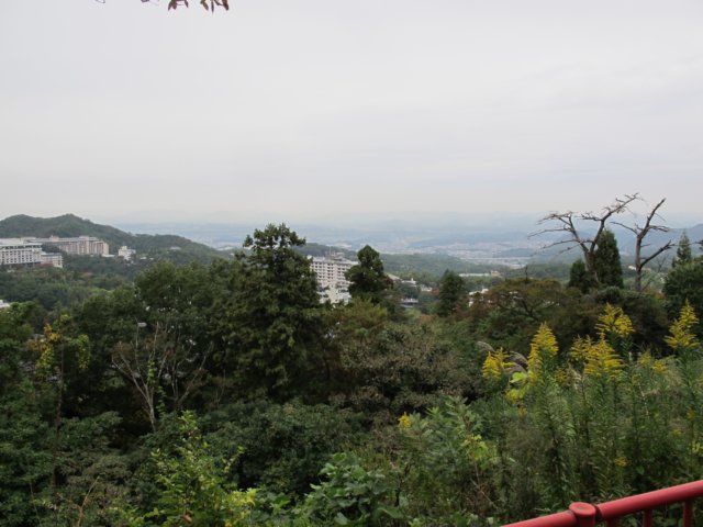 img_7175.jpg