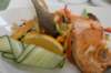 dsc03572_small.jpg