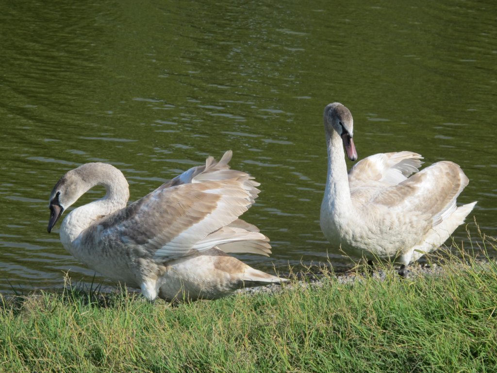 img_2049.jpg