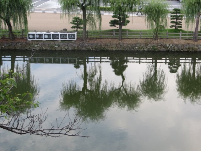 img_9317.jpg