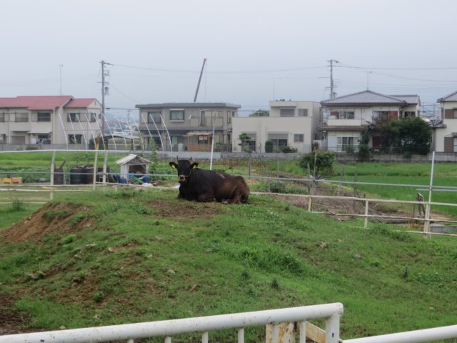 img_9382.jpg