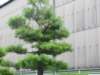 img_9402_small.jpg