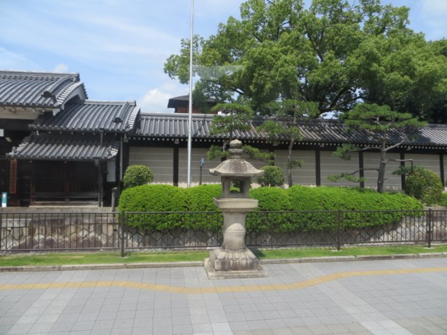 img_9555.jpg