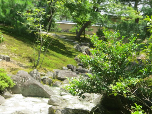 img_9664.jpg