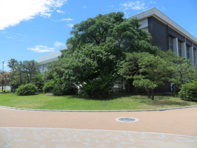 img_9691.jpg
