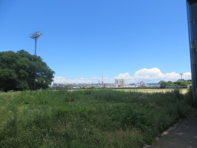 img_9695.jpg