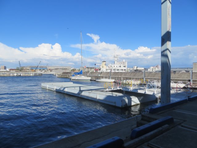 img_9698.jpg
