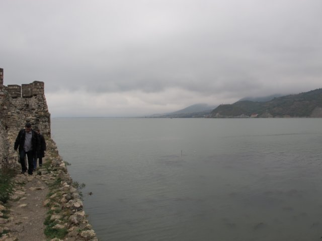 img_8401.jpg