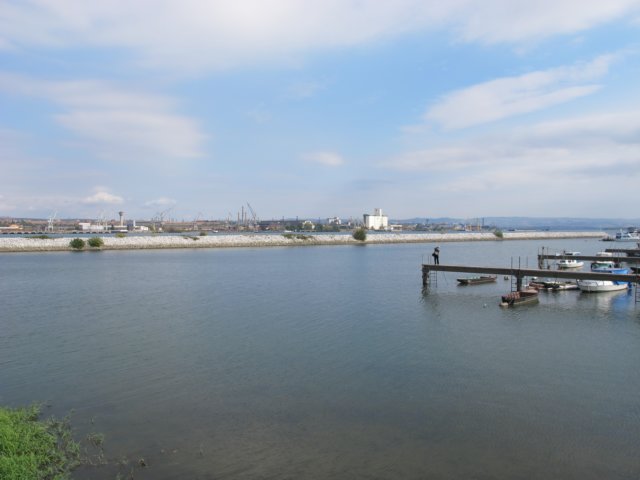 img_8456.jpg