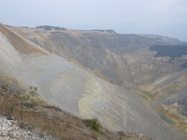 img_8572.jpg