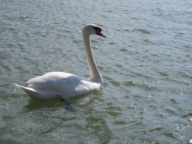 img_8139.jpg