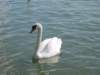 img_8140_small.jpg