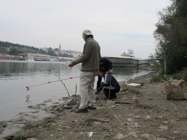 img_8320.jpg