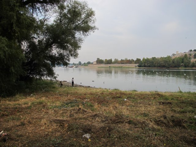 img_8389.jpg