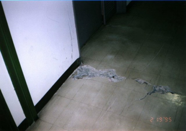 f109632a_jpg.jpg