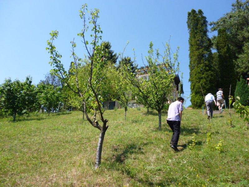 p1010033.jpg