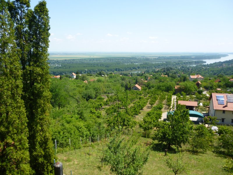 p1010035.jpg